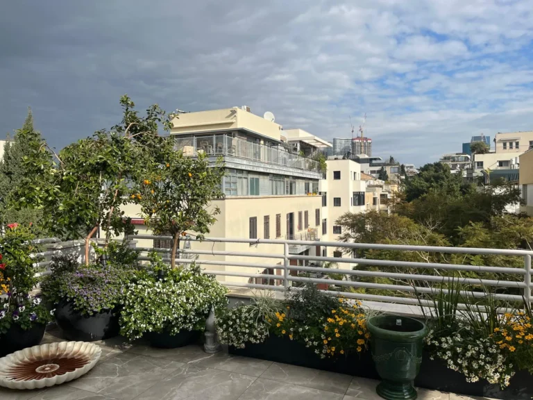 מרפסת מעוצבת דקורטיבית עם הרבה צמחייה ירוקה