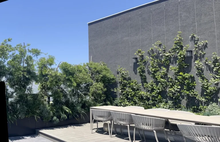 מרפסת מעוצבת דקורטיבית עם הרבה צמחייה ירוקה