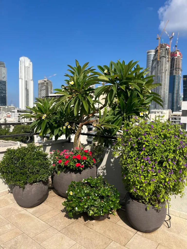 מרפסת שתופת שמש מעוצבת דקורטיבית עם הרבה צמחייה ירוקה